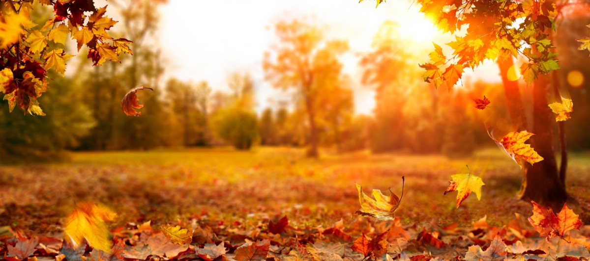 Featured image for “Why Fall is the Best Time to Camp: Fewer Crowds, Crisp Air, and Cozy Nights”